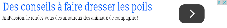 anipassion.com
