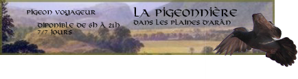 Le monde de Duralas - Page 2 583097pigeon