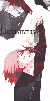 Invisibilis